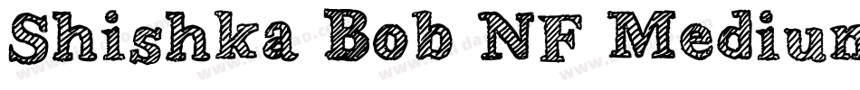 Shishka Bob NF Medium字体转换